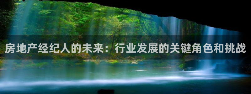 和记黄埔 成都 官网：房地产经纪人的未来：行业发展的关键角色