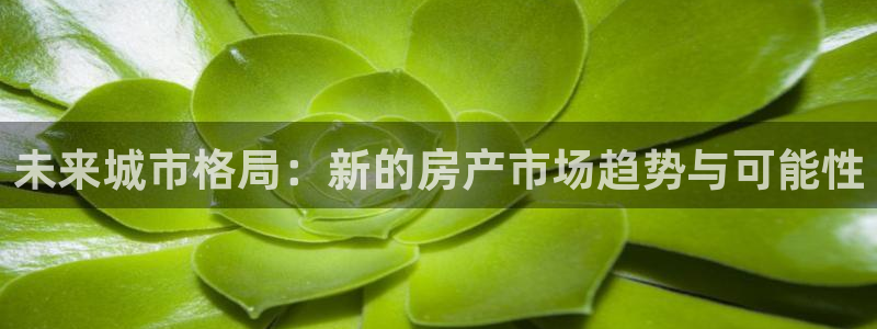 和记hgc官网