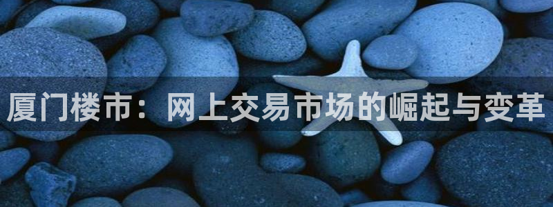 和记旗舰官网：厦门楼市：网上交易市场的崛起与变革