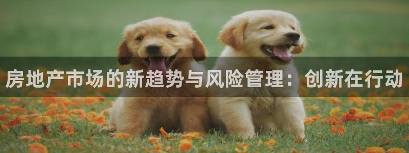 和记黄埔官网：房地产市场的新趋势与风险管理：创新在行动
