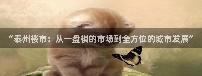 和记奥普泰 官网：“泰州楼市：从一盘棋的市场到全方位的城市发