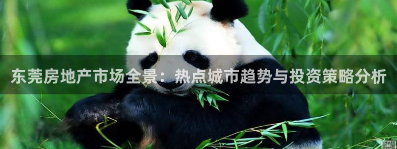 香港和记通讯官网：东莞房地产市场全景：热点城市趋势与投资策略