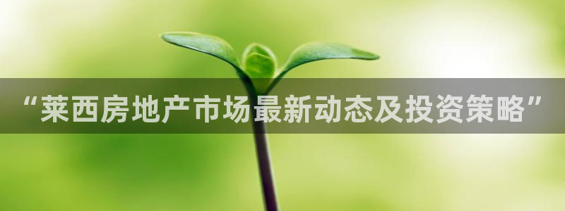 和记3国际万能卡官网：“莱西房地产市场最新动态及投资策略”