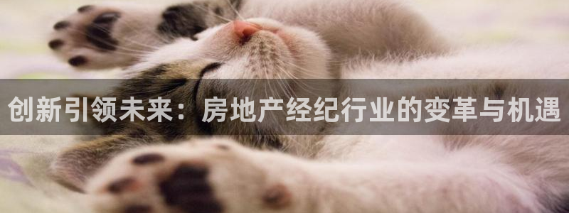和记h88game官网：创新引领未来：房地产经纪行业的变革与