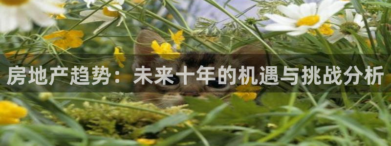 和记黄浦官网：房地产趋势：未来十年的机遇与挑战分析