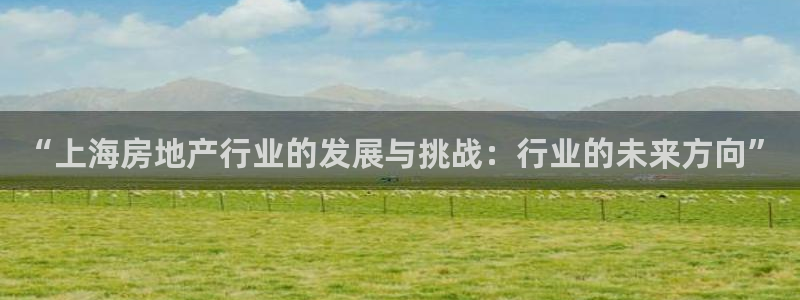 和记官网入口：“上海房地产行业的发展与挑战：行业的未来方向”