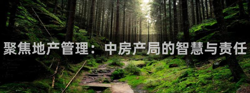 和记电讯three官网：聚焦地产管理：中房产局的智慧与责任