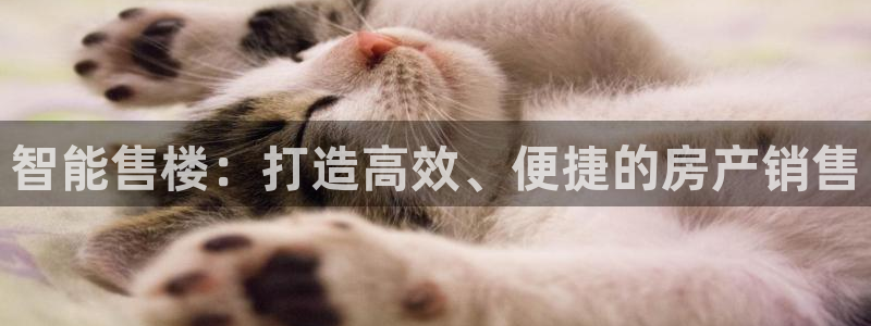和记国际官网：智能售楼：打造高效、便捷的房产销售