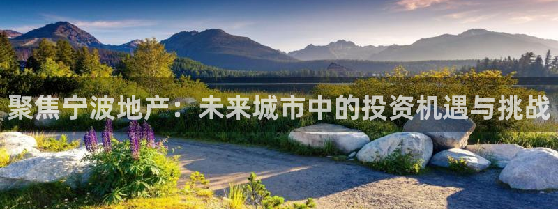 和记3国际万能卡官网：聚焦宁波地产：未来城市中的投资机遇与挑