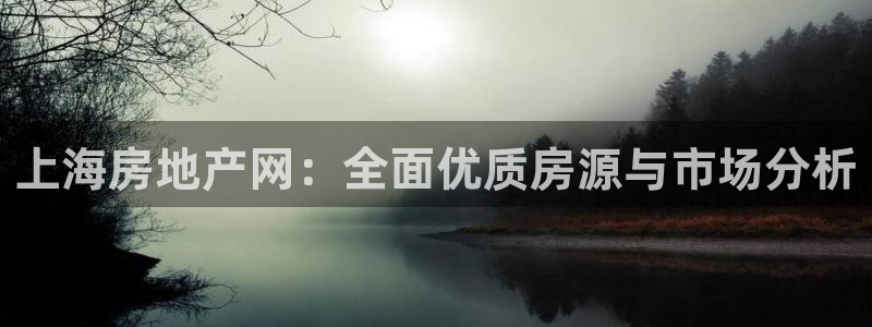 和记混凝土官网：上海房地产网：全面优质房源与市场分析