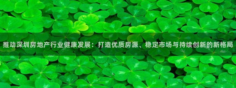香港和记黄埔官网：推动深圳房地产行业健康发展：打造优质房源、