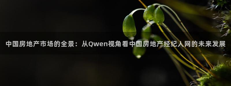 和记港口官网：中国房地产市场的全景：从Qwen视角看中国房地