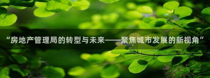 胡和记官网：“房地产管理局的转型与未来——聚焦城市发展的新视