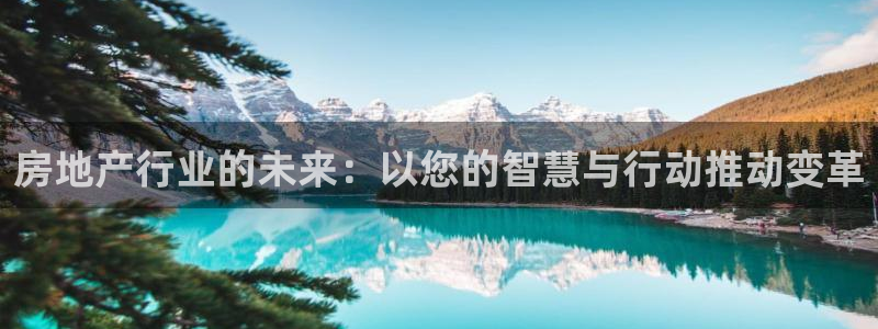 和记娱乐 怡情搏娱官网：房地产行业的未来：以您的智慧与行动推