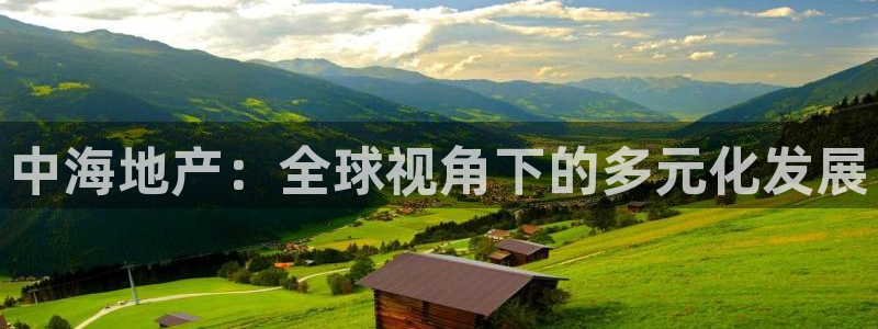 和记一品官网：中海地产：全球视角下的多元化发展