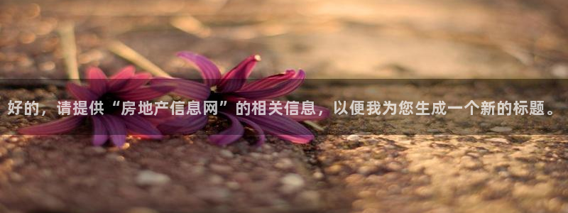 和记集团官网：好的，请提供“房地产信息网”的相关信息，以便我