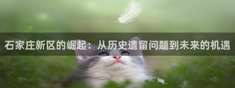 和记娱乐h88官网约凯发来就送68：石家庄新区的崛起：从历史