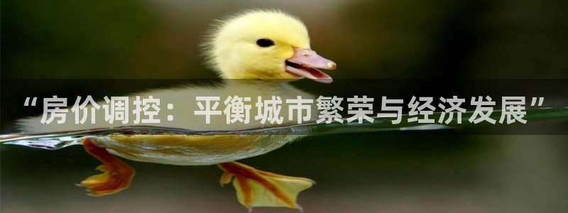 和记官网手机版：“房价调控：平衡城市繁荣与经济发展”