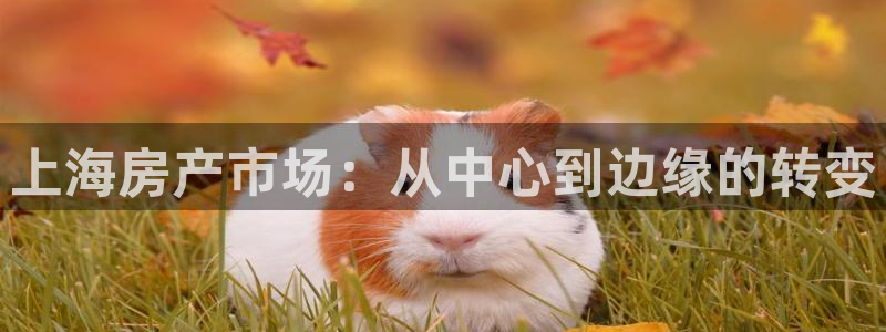 郑州和记酒业官网：上海房产市场：从中心到边缘的转变