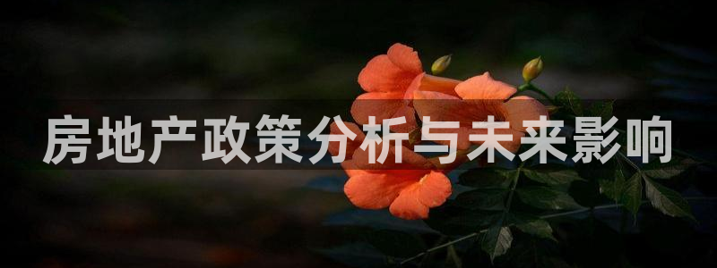 和记娱哪个位置h88285官网：房地产政策分析与未来影响
