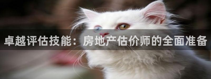 和记彩官网：卓越评估技能：房地产估价师的全面准备