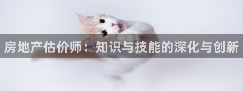 和记娱哪个位置h88285官网：房地产估价师：知识与技能的深
