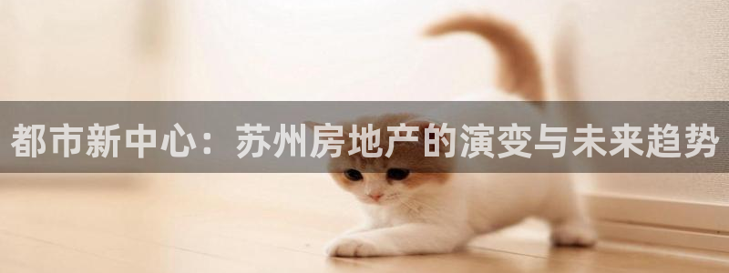 和记电讯3官网：都市新中心：苏州房地产的演变与未来趋势