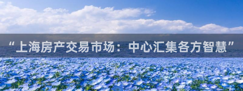 和记游戏官网：“上海房产交易市场：中心汇集各方智慧”