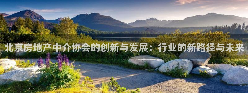 香港和记3台官网：北京房地产中介协会的创新与发展：行业的新路