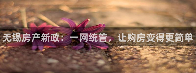 广州和德记官网：无锡房产新政：一网统管，让购房变得更简单