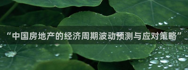 和记3电讯官网：“中国房地产的经济周期波动预测与应对策略”