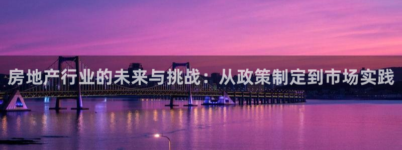 和记3卡官网是哪：房地产行业的未来与挑战：从政策制定到市场实