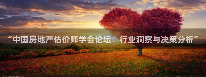 和记香港官网：“中国房地产估价师学会论坛：行业洞察与决策分析