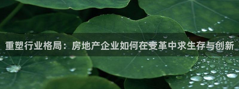 胡和记官网：重塑行业格局：房地产企业如何在变革中求生存与创新