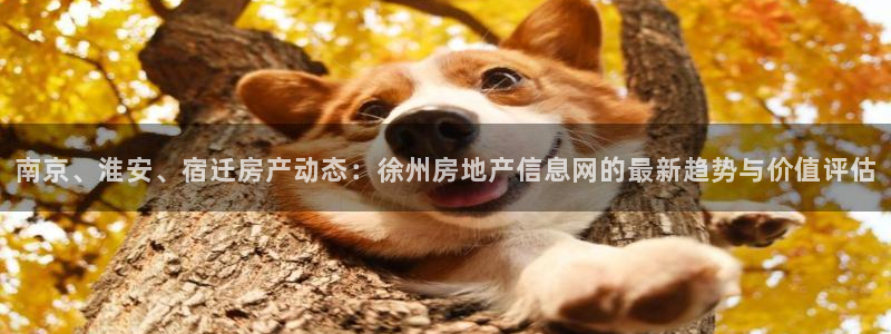 和记娱答疑h88285官网：南京、淮安、宿迁房产动态：徐州房