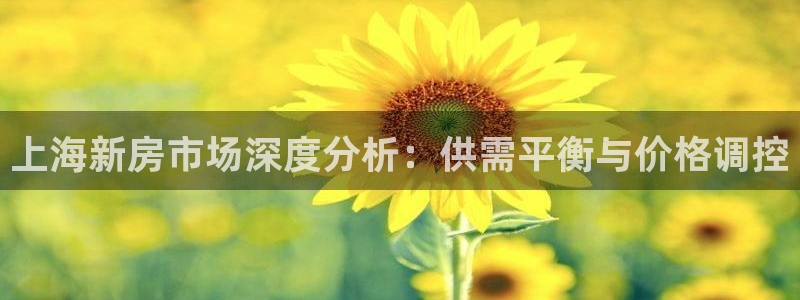 和记官网：上海新房市场深度分析：供需平衡与价格调控