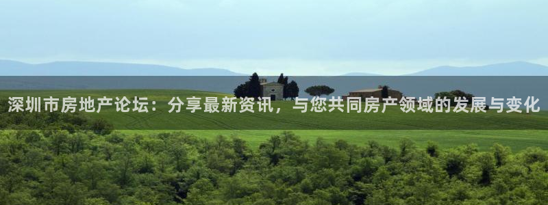 和记黄浦官网：深圳市房地产论坛：分享最新资讯，与您共同房产领