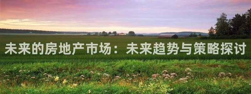 广州和德记官网：未来的房地产市场：未来趋势与策略探讨