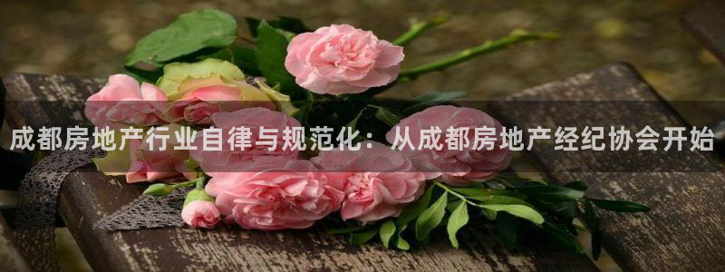 胡和记面官网：成都房地产行业自律与规范化：从成都房地产经纪协
