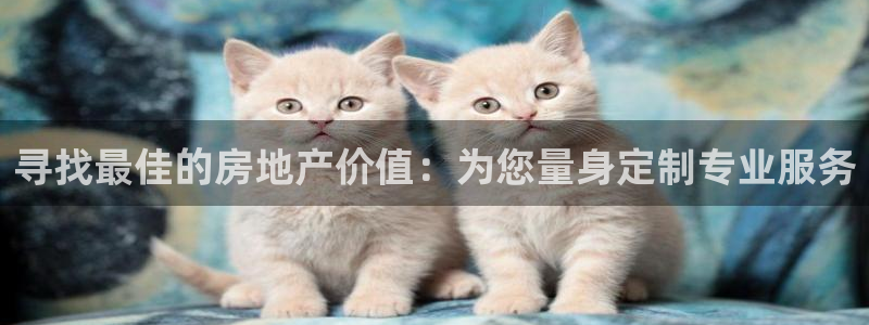 和记电讯three官网：寻找最佳的房地产价值：为您量身定制专