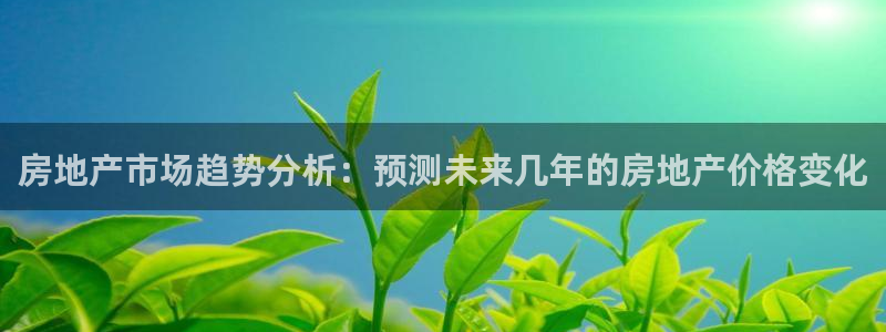 和兴记官网：房地产市场趋势分析：预测未来几年的房地产价格变化