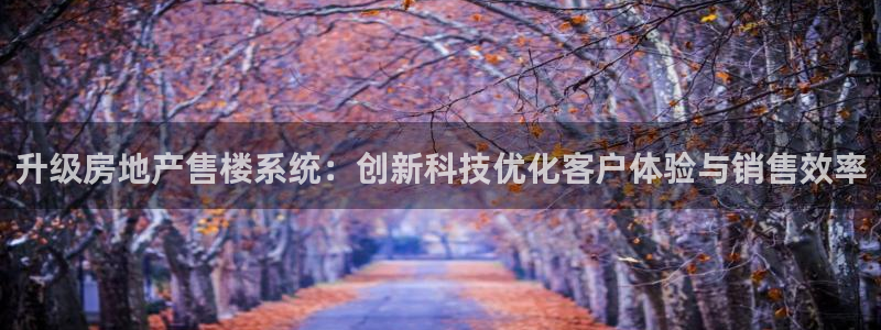 和记网站官网：升级房地产售楼系统：创新科技优化客户体验与销售