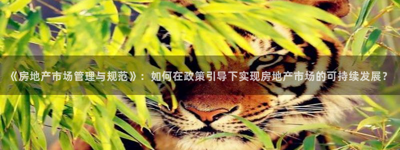 和记3国际万能卡官网：《房地产市场管理与规范》：如何在政策引