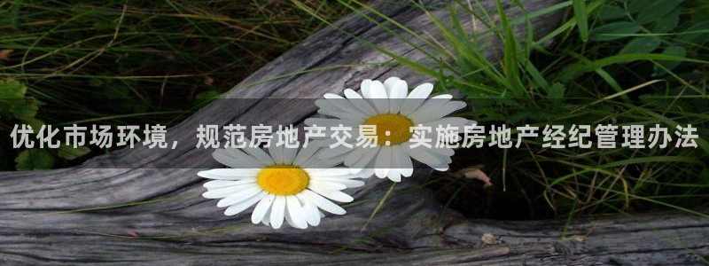 和记娱乐h8官网：优化市场环境，规范房地产交易：实施房地产经