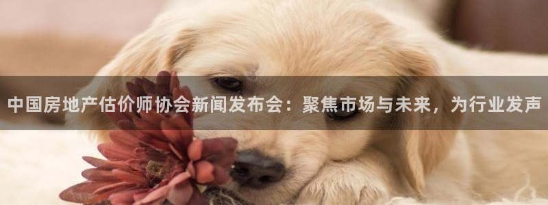 和记中国官网：中国房地产估价师协会新闻发布会：聚焦市场与未来
