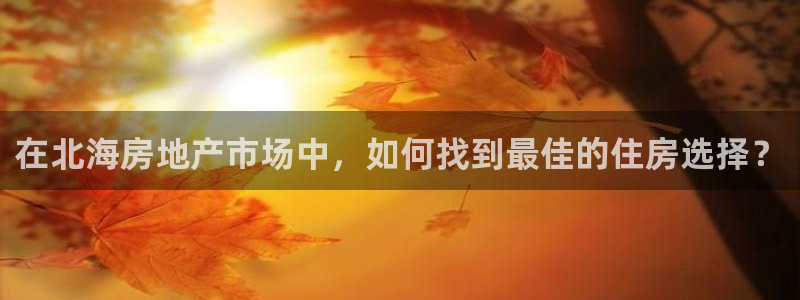 和记娱实惠h88285官网：在北海房地产市场中，如何找到最佳