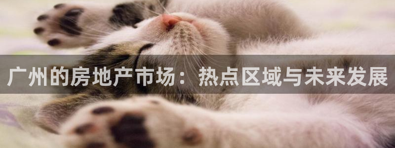 和记黄埔 官网：广州的房地产市场：热点区域与未来发展