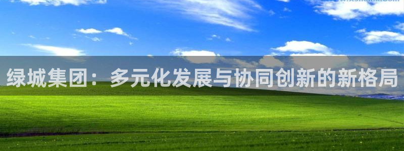 和记官网登陆：绿城集团：多元化发展与协同创新的新格局