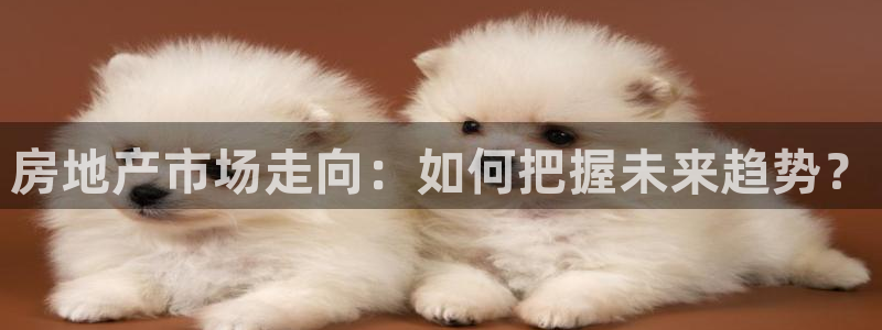 和记黄埔药业官网：房地产市场走向：如何把握未来趋势？