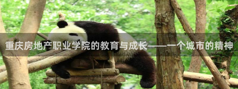 上海和记黄埔官网